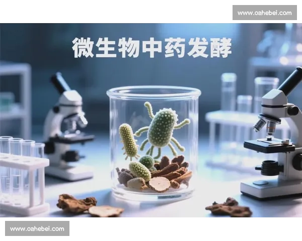 持续发酵视角下食品加工创新与微生物动力机制研究探索